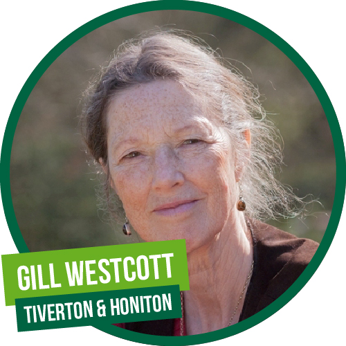 Gill Tiverton